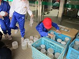 IMG_3514