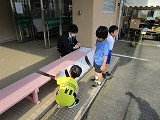 IMG_3544
