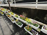 IMG_4029