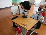IMG_4153