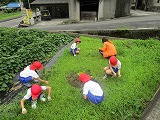 IMG_4445