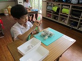 IMG_4455