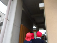 IMGP1437