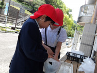IMGP1972