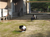 IMGP1589