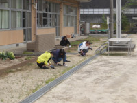 IMGP1596