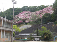 IMGP1599