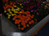IMGP0101