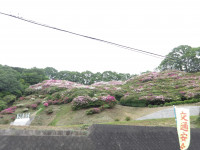 IMGP0122