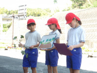 IMGP2656