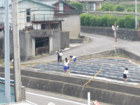 IMGP1742