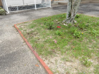 IMGP0051