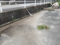 IMGP0050