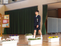 IMGP0231