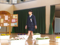 IMGP0234