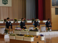 IMGP0287