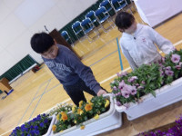 IMGP0692