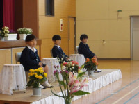 IMGP0482