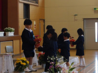 IMGP0511