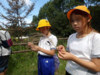 IMGP0832